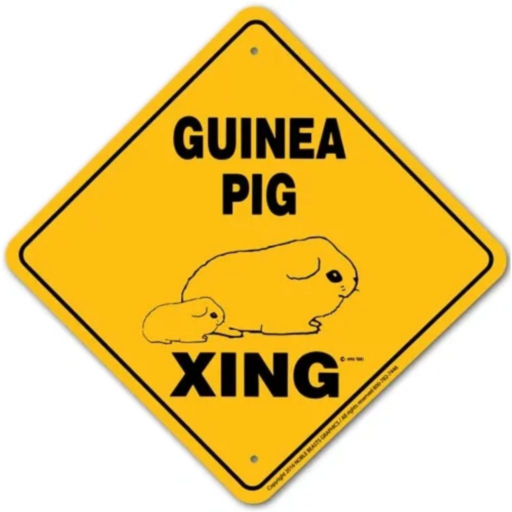Sign X-ing Guinea Pig