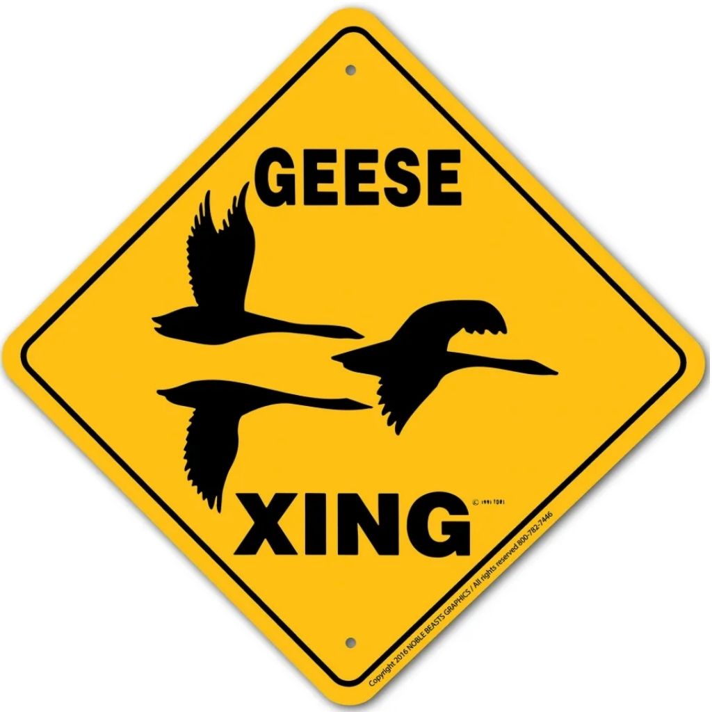 Sign X-ing Geese