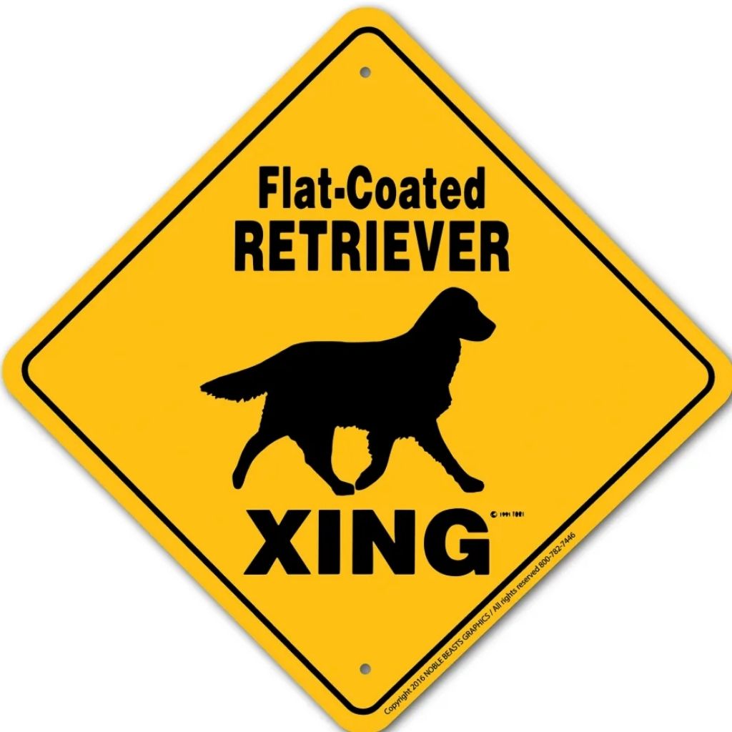 Sign X-ing Flat Coated Retriever