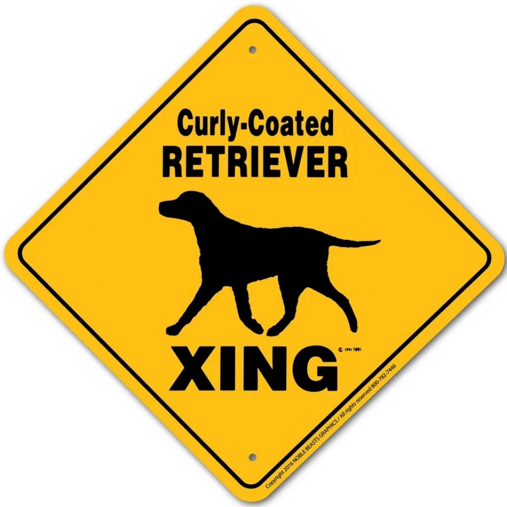 Sign X-ing Curly Coated Retriever
