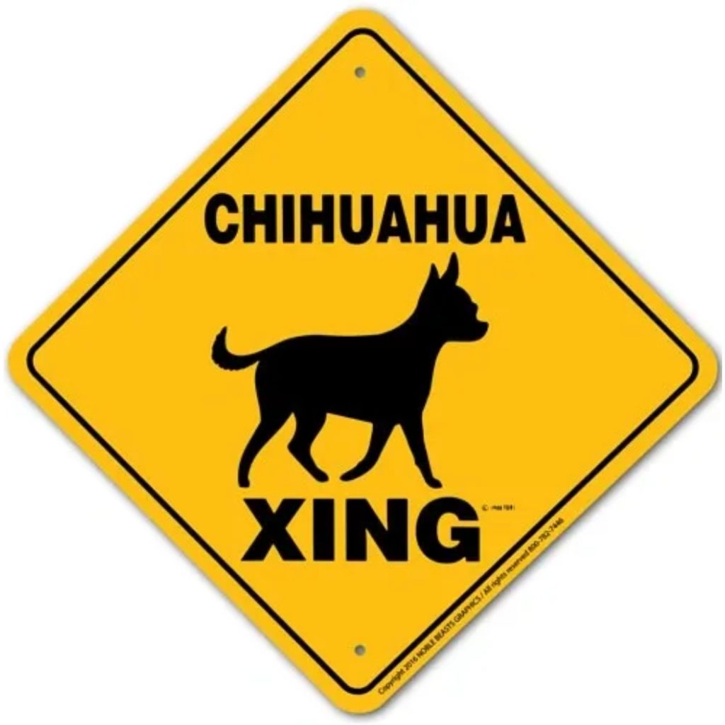 Sign X-ing Chihuahua