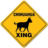 Sign X-ing Chihuahua