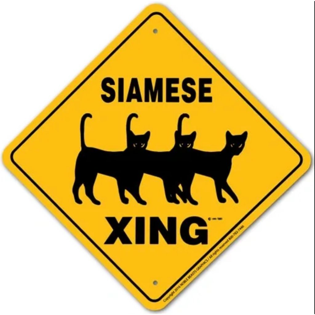 Sign X-ing Cat Siamese