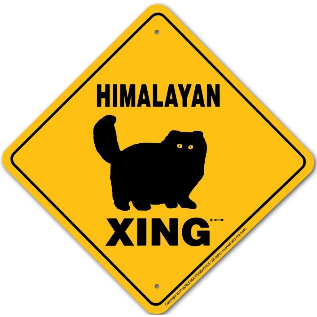 Sign X-ing Cat Himalayan