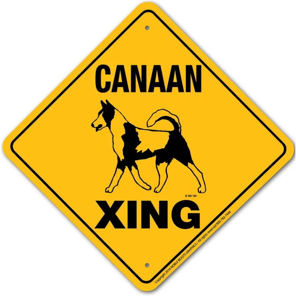 Sign X-ing Canaan