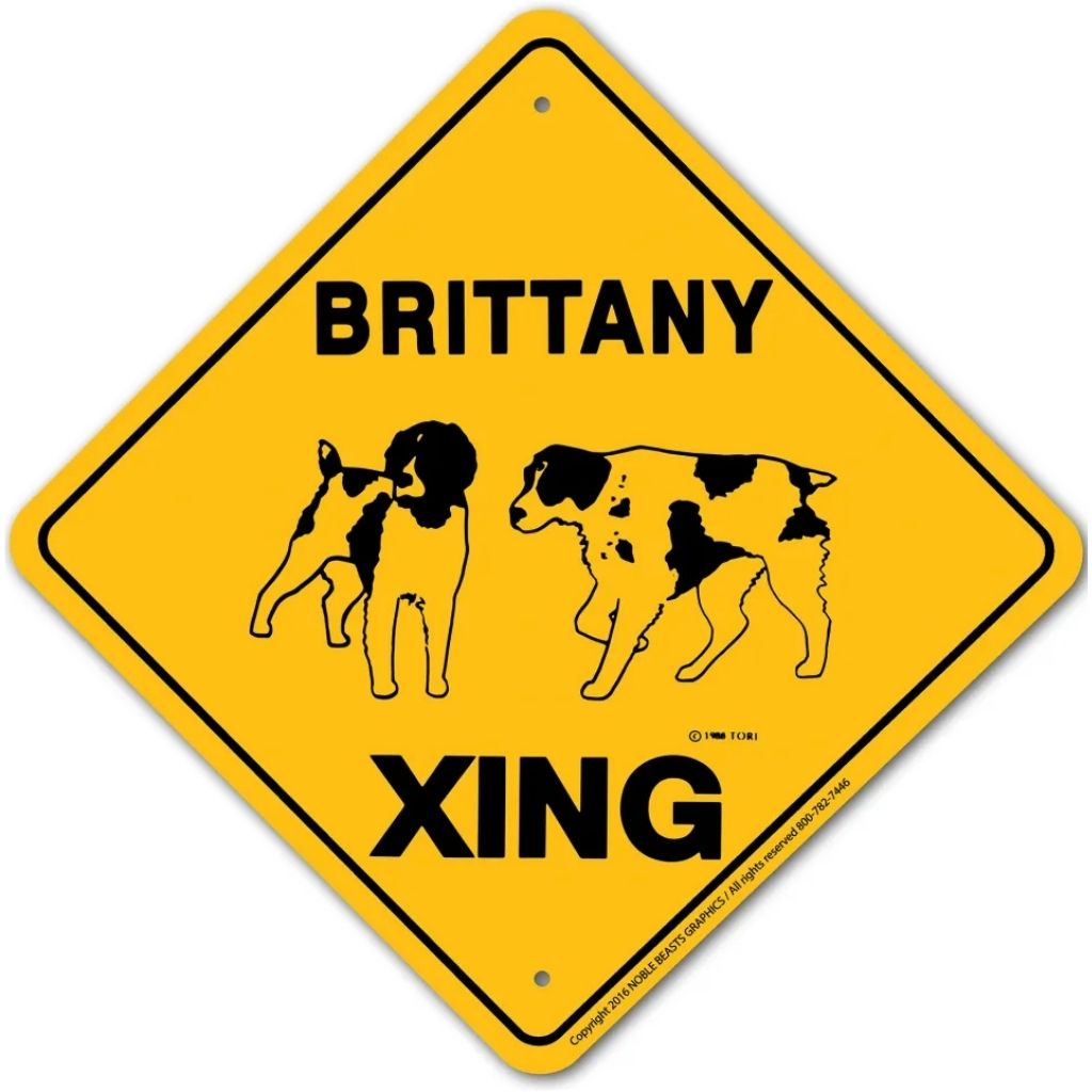 Sign X-ing Brittany Spaniel
