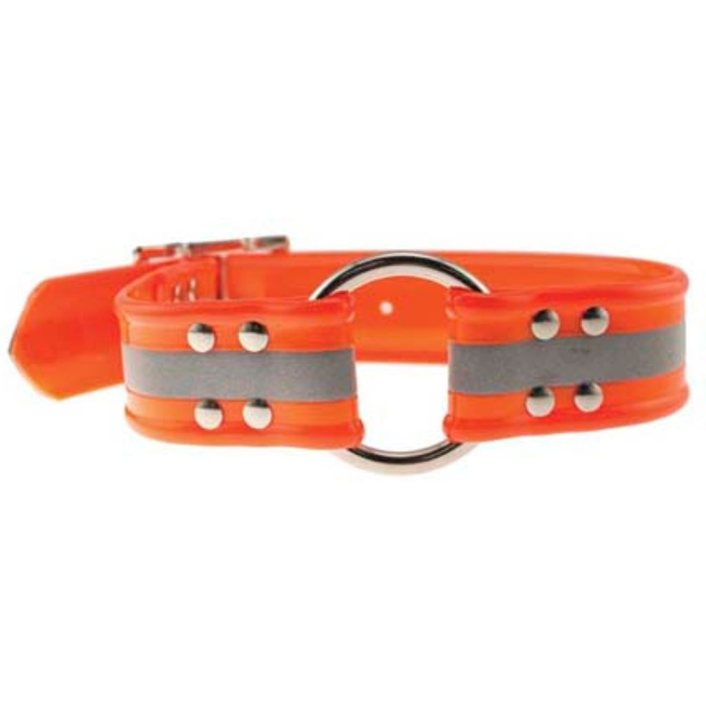 Leather Brothers - Orange Collar Nylon Sunglo W/ Center Ring & Reflective Stripe