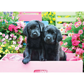 Puzzle Black Labs in Pink Box