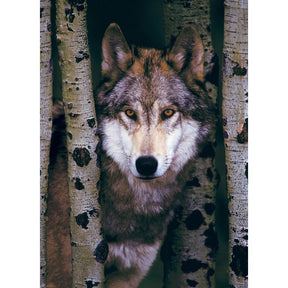 Puzzle Gray Wolf
