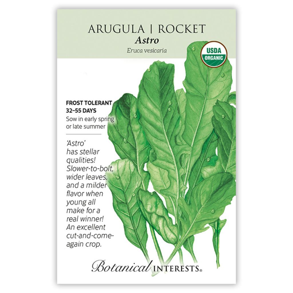 Arugula Rocket Astro Organic