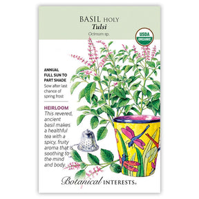 Basil Holy/Tulsi Organic