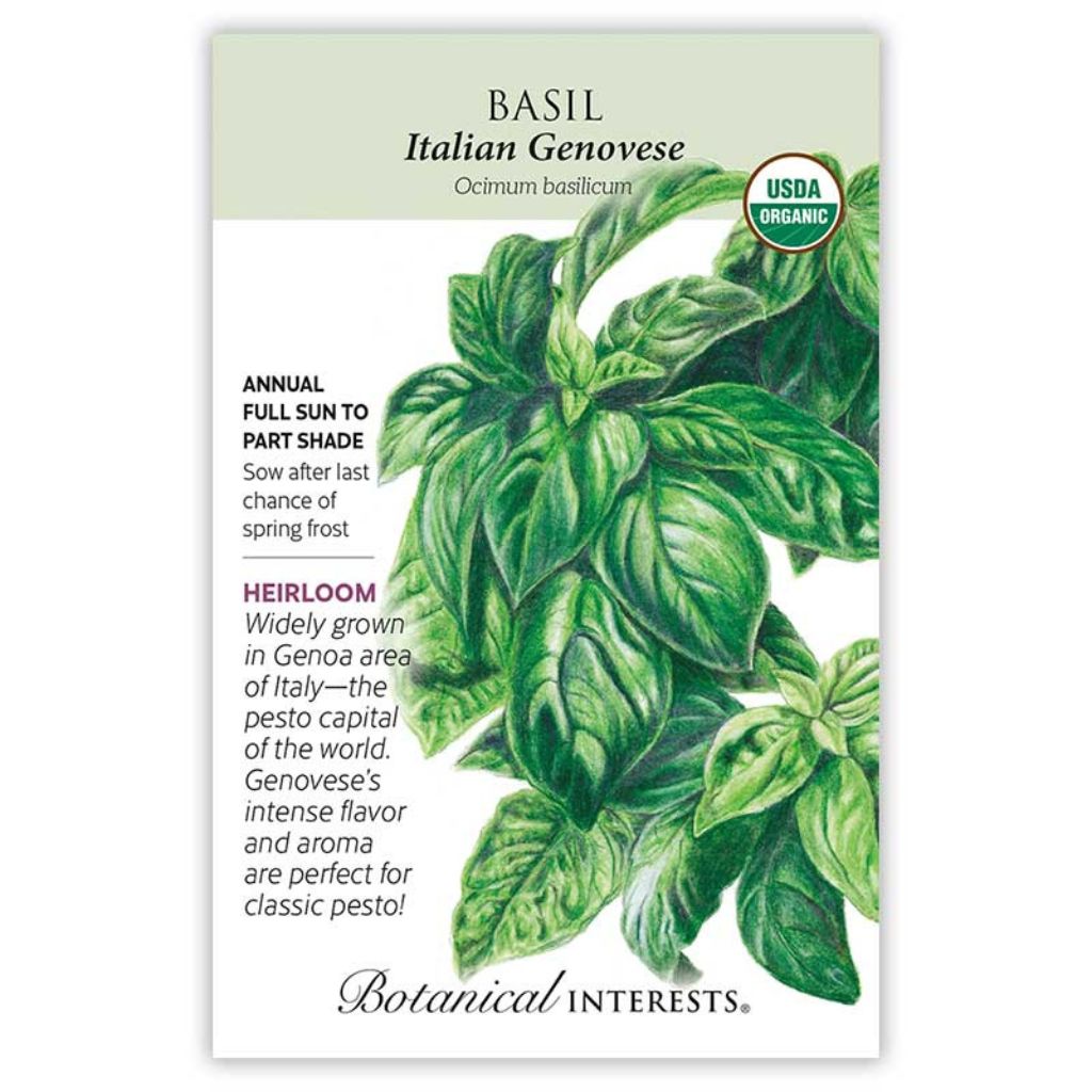 Basil Italian Genovese Organic