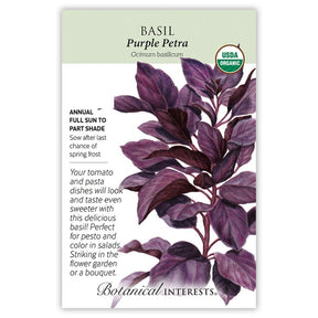 Basil Purple Petra Organic