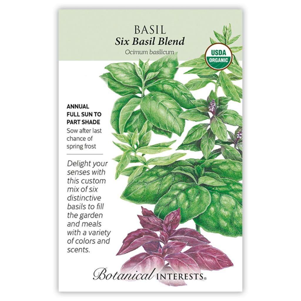 Basil Six Basil Blend Organic