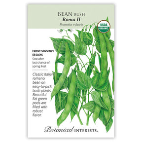 Bean Bush Roma II Organic