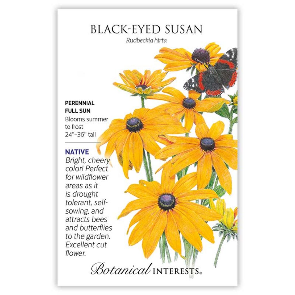 best time to plant black-eyed susan seeds Botanical Interests, Inc