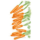 Carrot Little Finger Organic