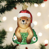 Old World Christmas - Ornament Glass Groundhog