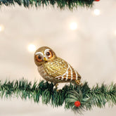 Old World Christmas - Ornament Glass Pygmy Owl with Clip