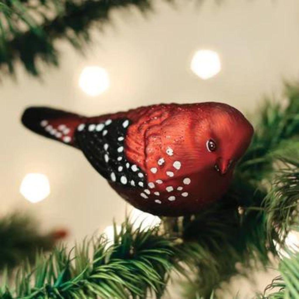 Old World Christmas - Strawberry Finch Clip-On Ornament