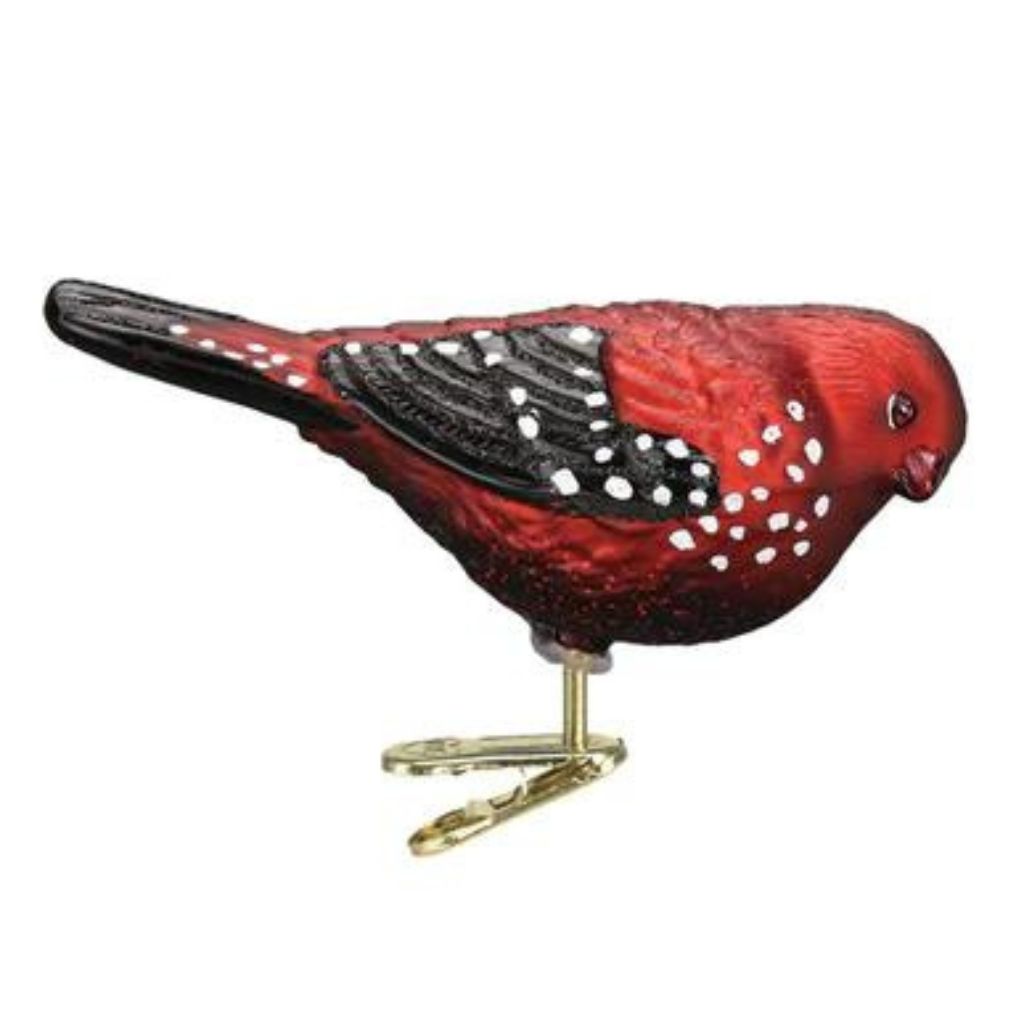 Old World Christmas - Ornament Glass Strawberry Finch with Clip