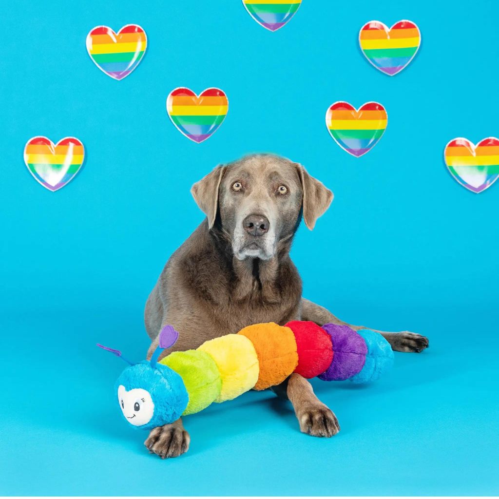 Petshop by Fringe Studio - Don't Bug Me Colorful Worm Plush Dog Toy