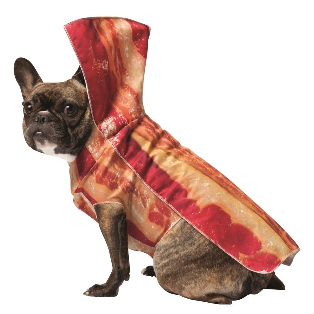 Dog Costume Bacon-Southern Agriculture