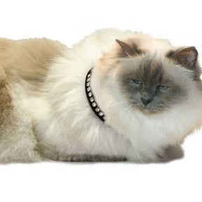 Cat Collar Breakaway Velvet With Rhinestones 3/8x14"