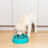 Happy Bowl Donut Slow Feed Bowl For Dogs