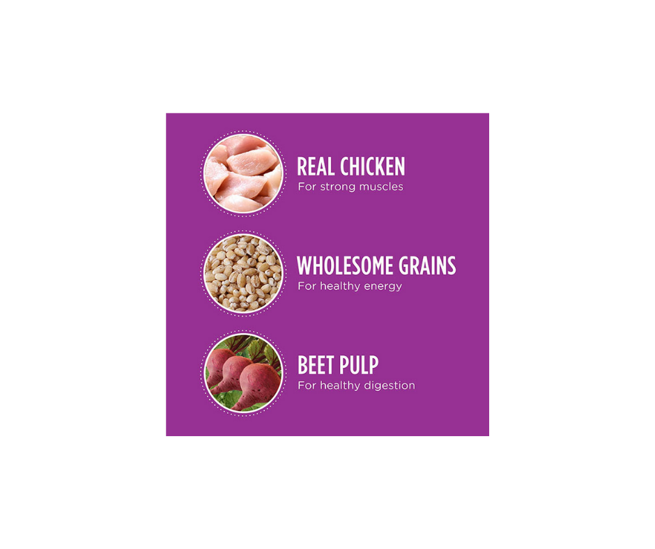 Iams proactive health mature adult large breed sales dry dog food