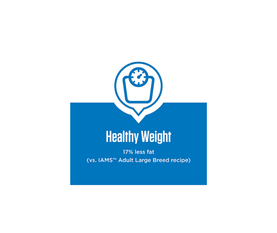 Iams healthy weight large breed hot sale