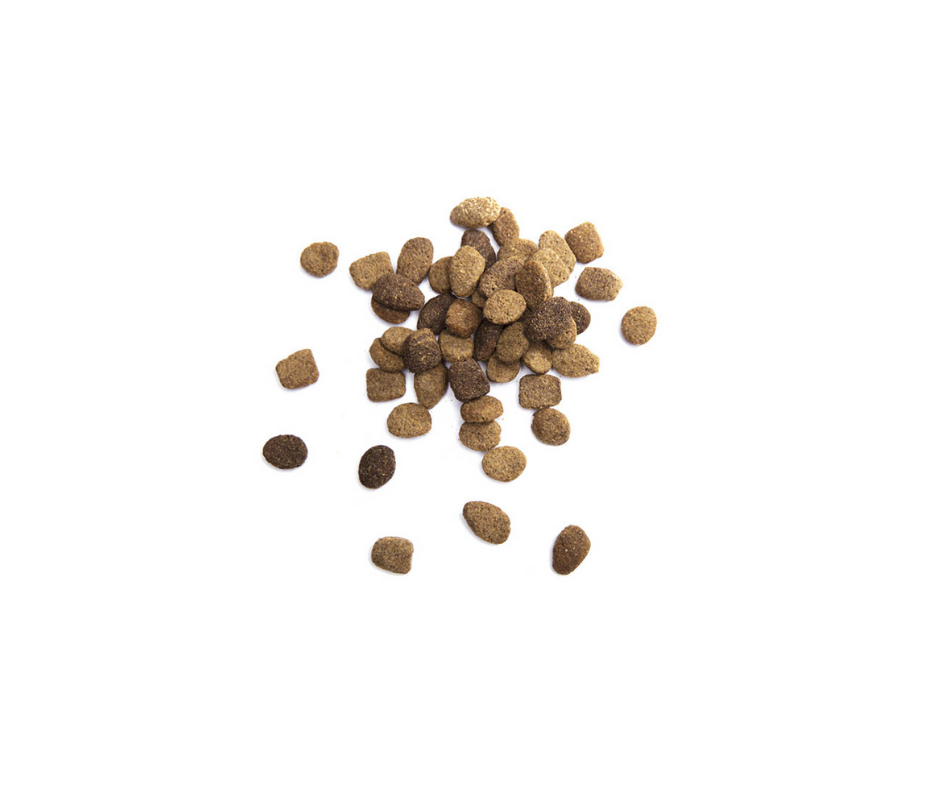 Iams Proactive Health Healthy Weight Large Breed Adult Dog Dry Dog