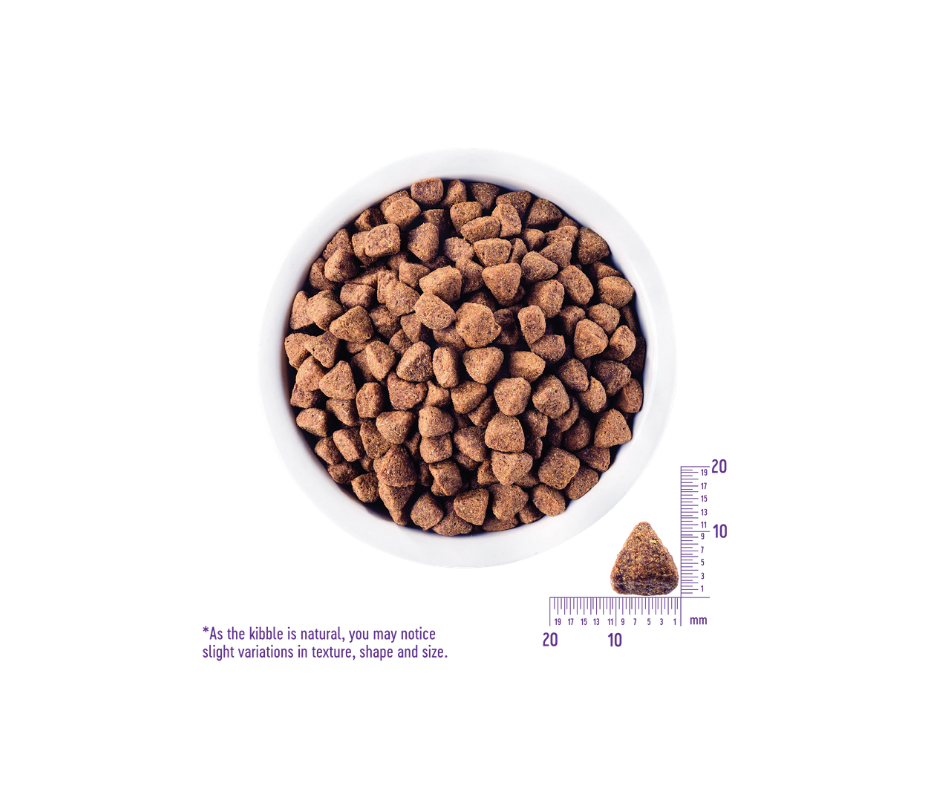 Wellness CORE All Breeds Adult Dog Original Deboned Turkey Turkey