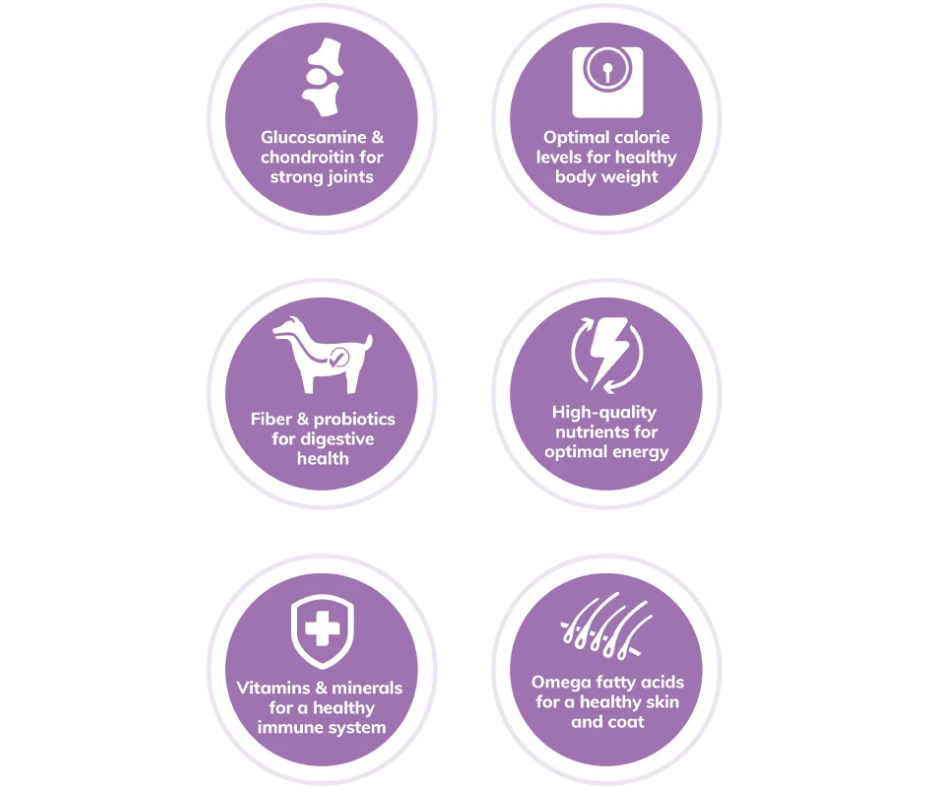 Wellness complete health clearance large breed