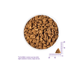 Wellness core small sales breed healthy weight