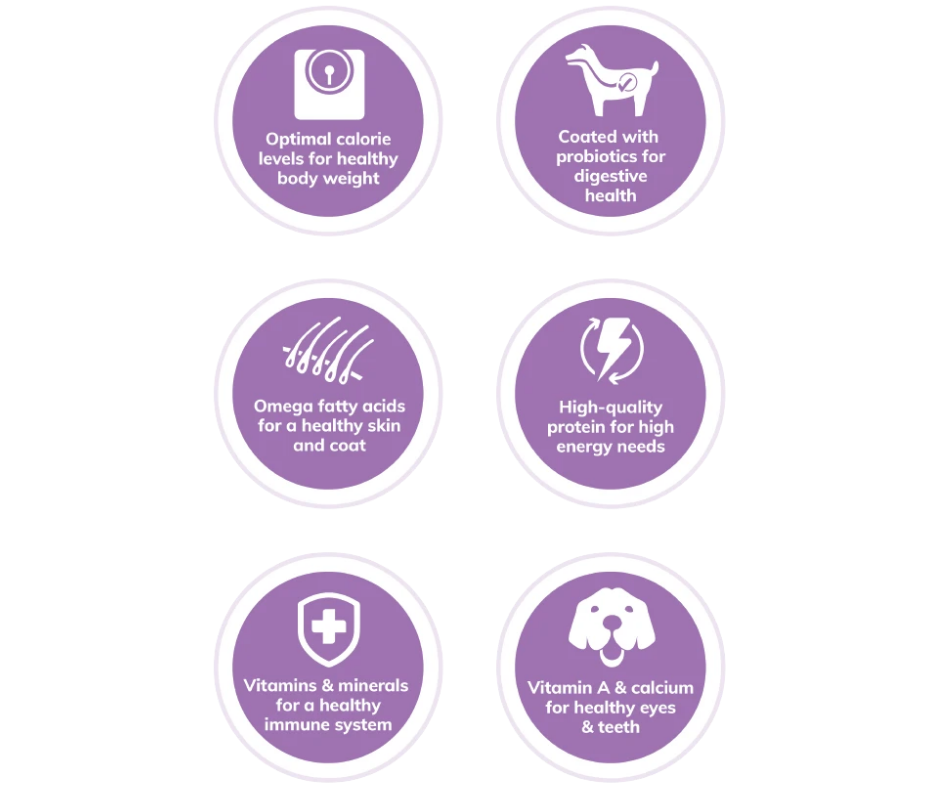 Wellness dog food small breed healthy weight hot sale