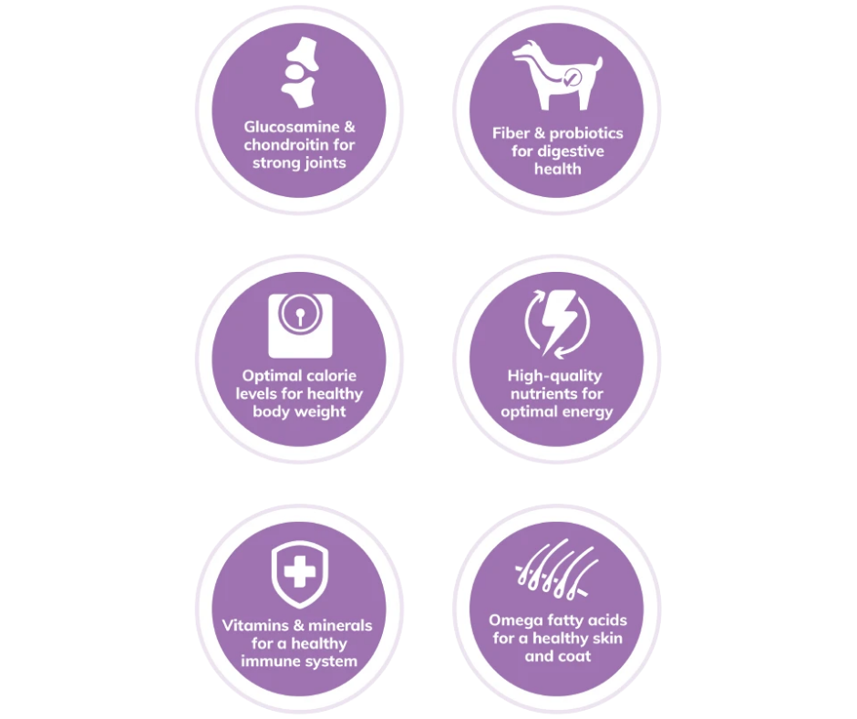 Wellness senior small breed hot sale