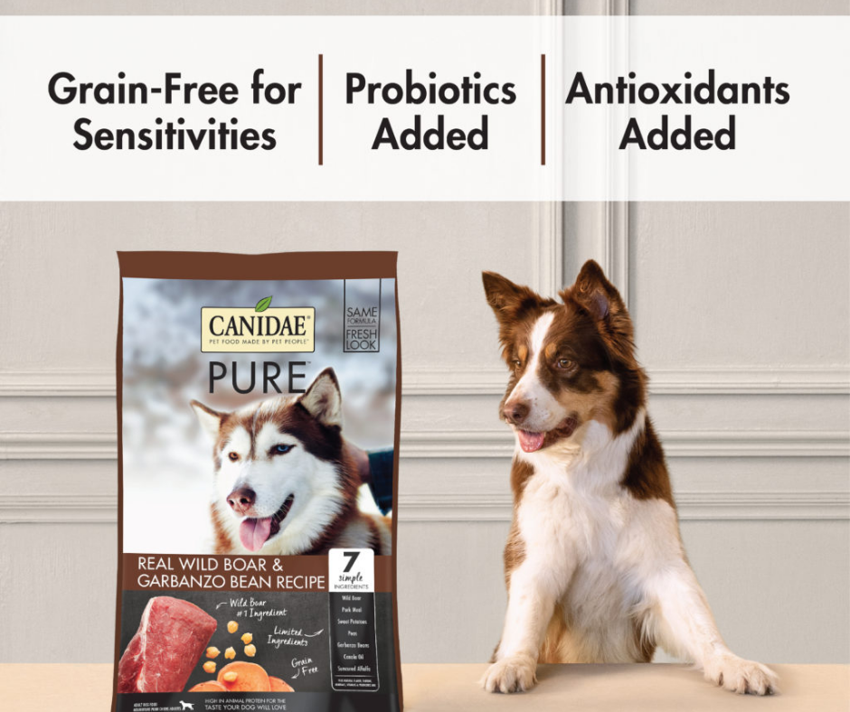Canidae Grain Free PURE - All Breeds, Adult Dog Real Wild Boar and Garbanzo Bean Limited Ingredient Recipe Dry Dog Food-Southern Agriculture