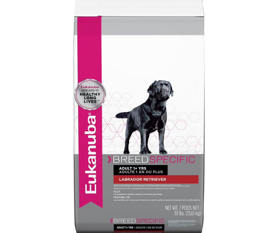 Eukanuba 2024 labrador food