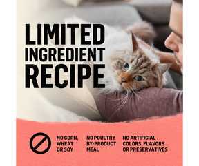 Purina Beyond - All Breeds, Adult Cat Salmon & Whole Brown Rice Recipe Dry Cat Food-Southern Agriculture