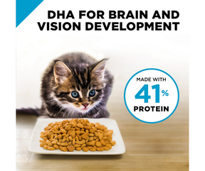 Purina Pro Plan FOCUS - All Breeds, Kitten Chicken & Rice Recipe Dry Cat Food-Southern Agriculture