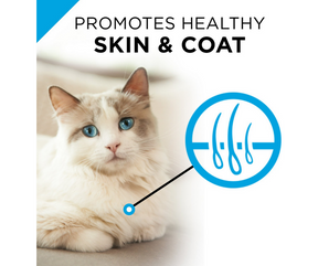 Purina Pro Plan FOCUS- All Breeds, Adult Cat Sensitive Skin & Stomach Lamb & Rice Recipe Dry Cat Food-Southern Agriculture