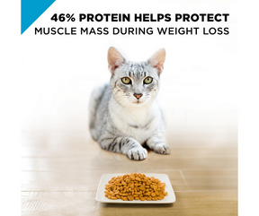 Purina Pro Plan FOCUS - All Breeds, Adult Cat Weight Management Chicken & Rice Recipe Dry Cat Food-Southern Agriculture