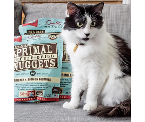 Primal Pet Foods Inc - All Cat Breeds, All Life Stages Raw, Freeze-Dried, Chicken and Salmon Formula Dry Cat Food-Southern Agriculture