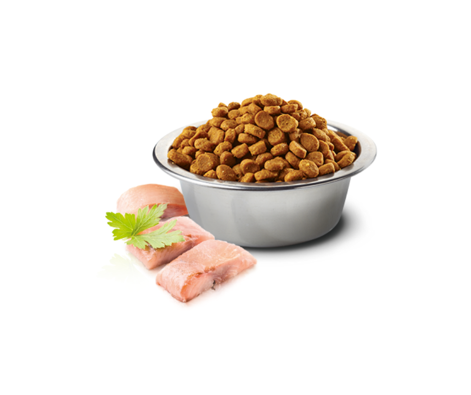 Farmina N&D Ocean - All Breeds, Adult Cat Herring & Orange Recipe Dry Cat Food-Southern Agriculture