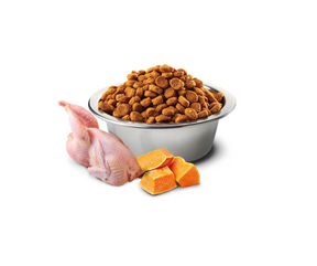 Farmina N&D Pumpkin - Neutered, Adult Cat Quail & Pomegranate Recipe Dry Cat Food-Southern Agriculture