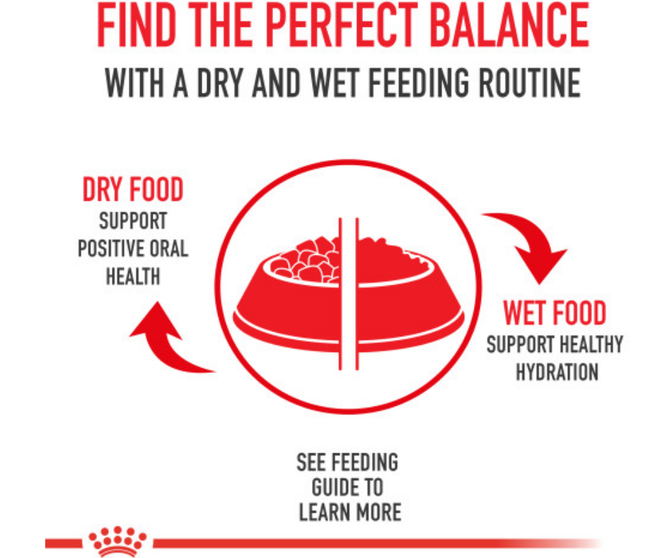 Royal Canin - Indoor, Adult Dry Cat Food-Southern Agriculture