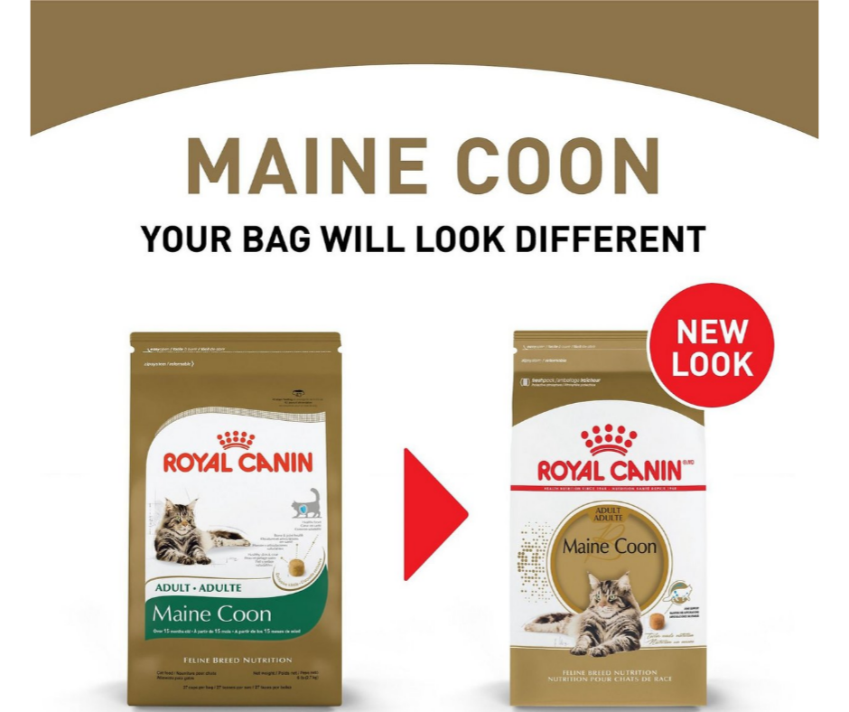 Royal Canin - Adult Maine Coon Dry Cat Food-Southern Agriculture