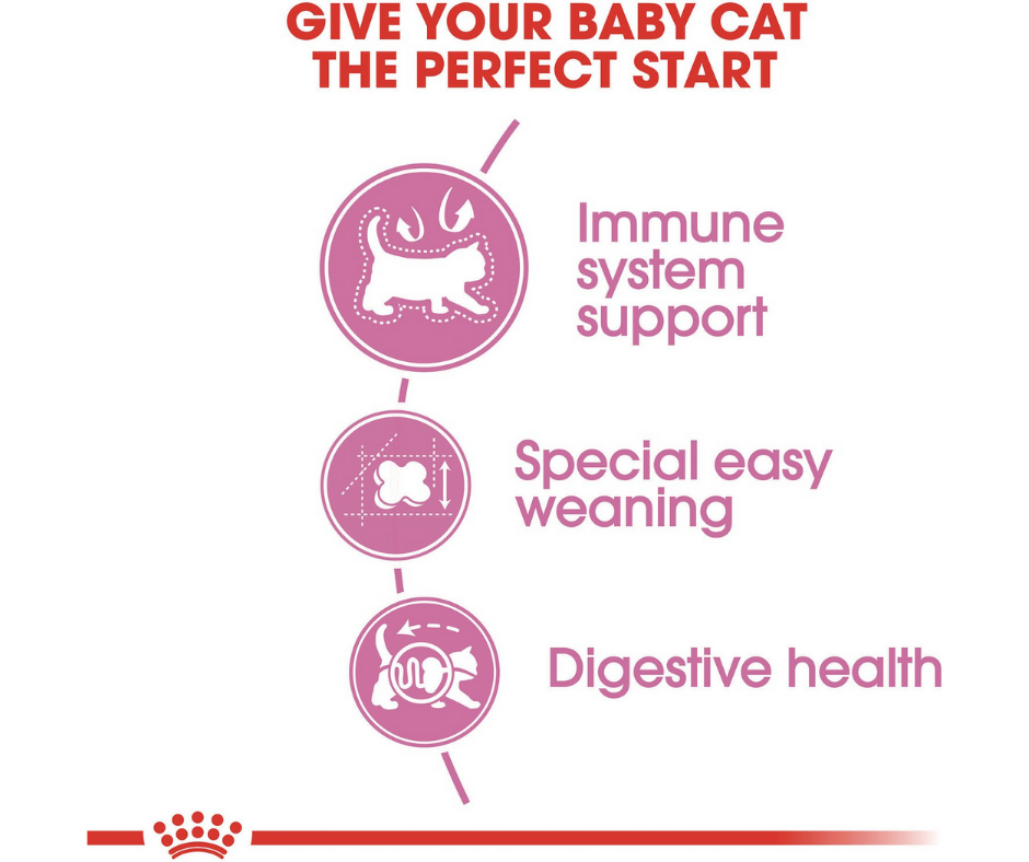 Royal Canin - Mother and Babycat Dry Cat Food-Southern Agriculture