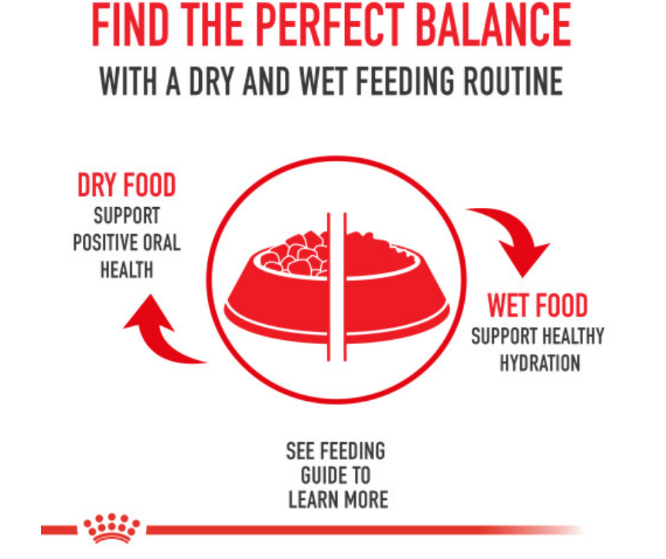 Royal Canin - Savor Selective Dry Cat Food-Southern Agriculture